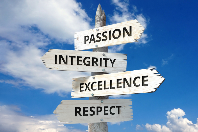 Core Organisational Values